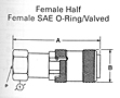 FD35 SERIES FEMALE HALF SAE